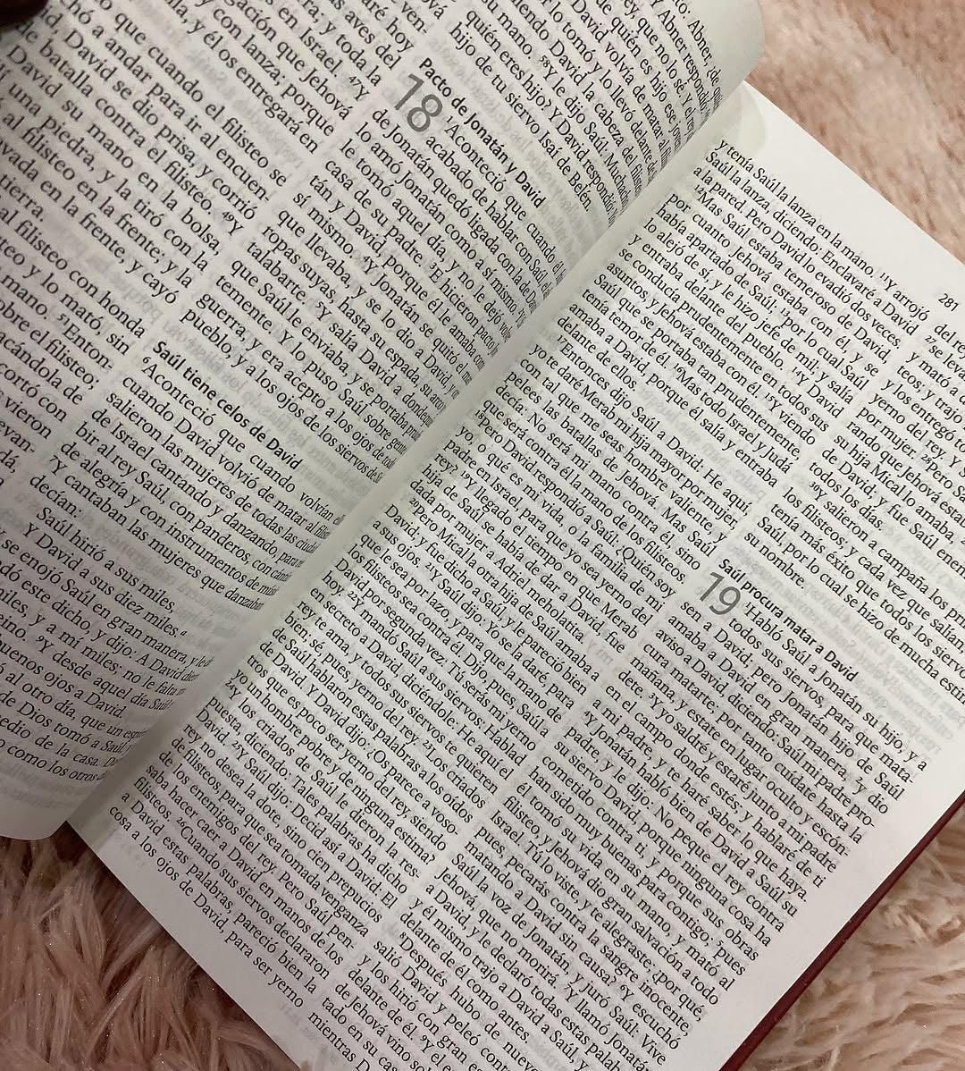 Biblia tapa dura de corazón letra grande 10 puntos versión RV1960 con concordancia