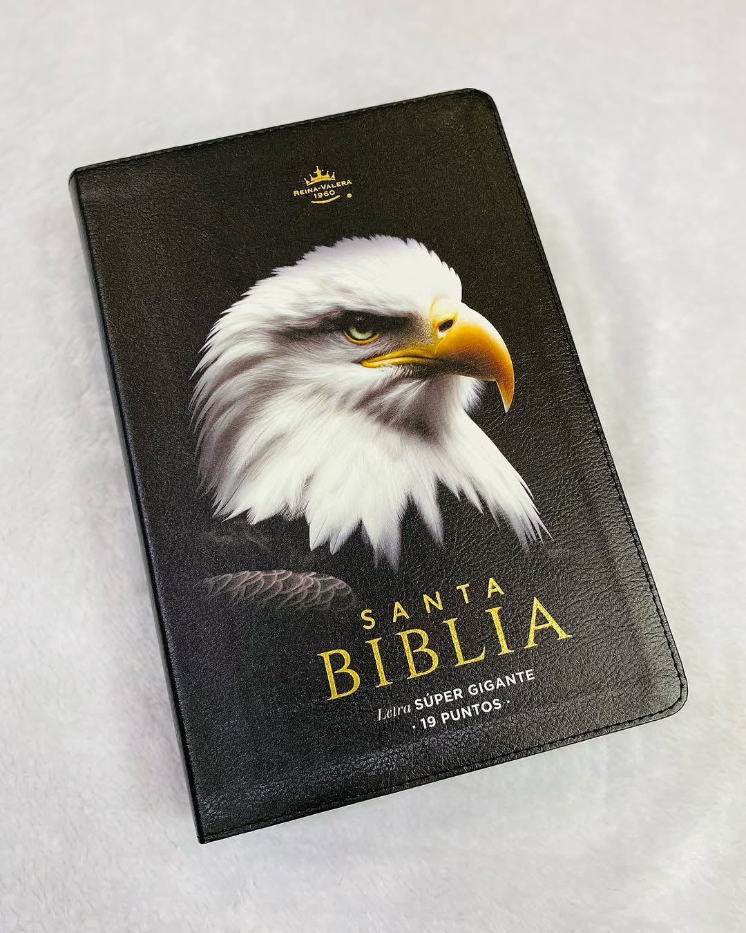Biblia letra gigante 19 puntos versión RV1960 canto pintado con concordancia