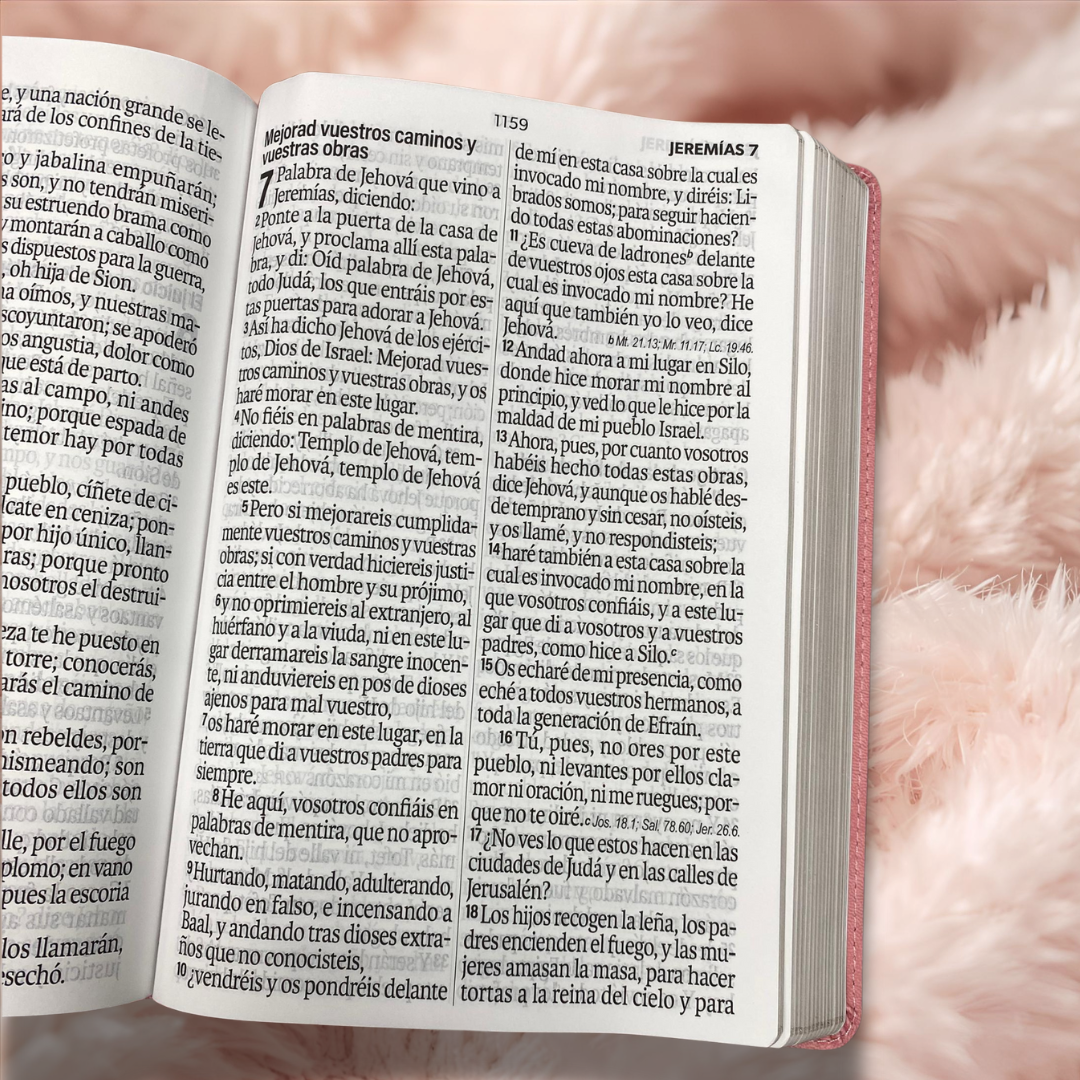 Biblia letra gigante 19 puntos en versión RV60 con canto dorado y concordancia