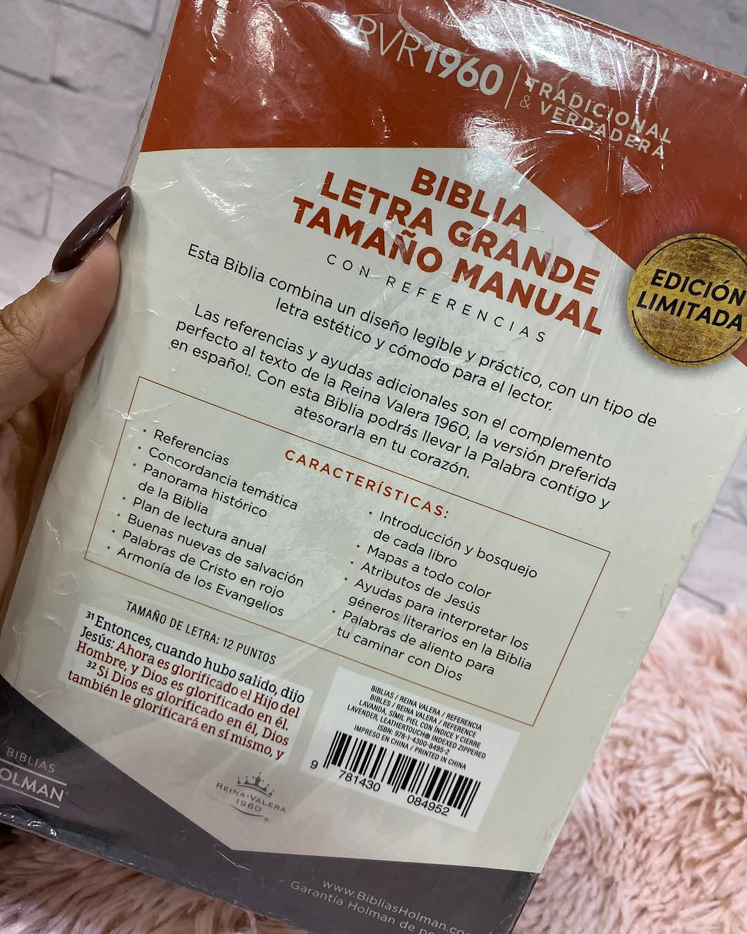 Biblia letra grande 12 puntos tamaño manual versión RV1960 con índice y cierre
