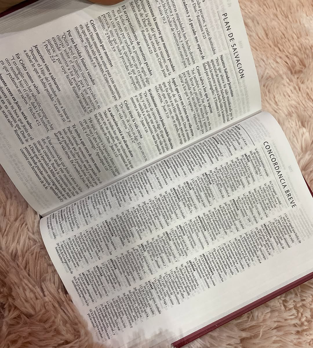 Biblia tapa dura de corazón letra grande 10 puntos versión RV1960 con concordancia