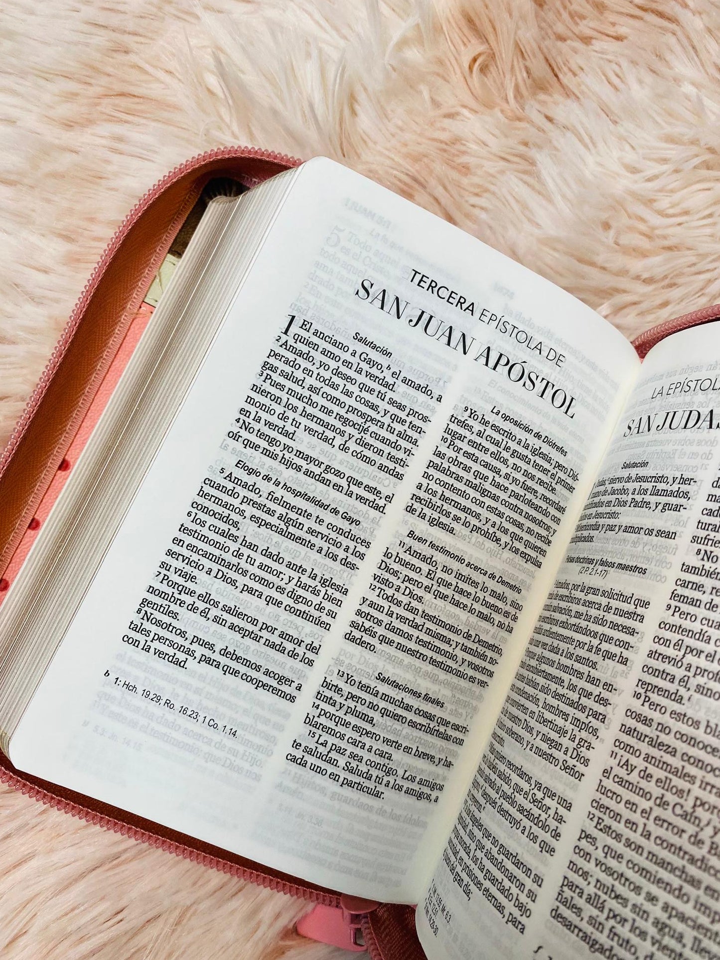 Biblia tamaño bolsillo letra 8 puntos con cierre símil piel versión RV60 con concordancia
