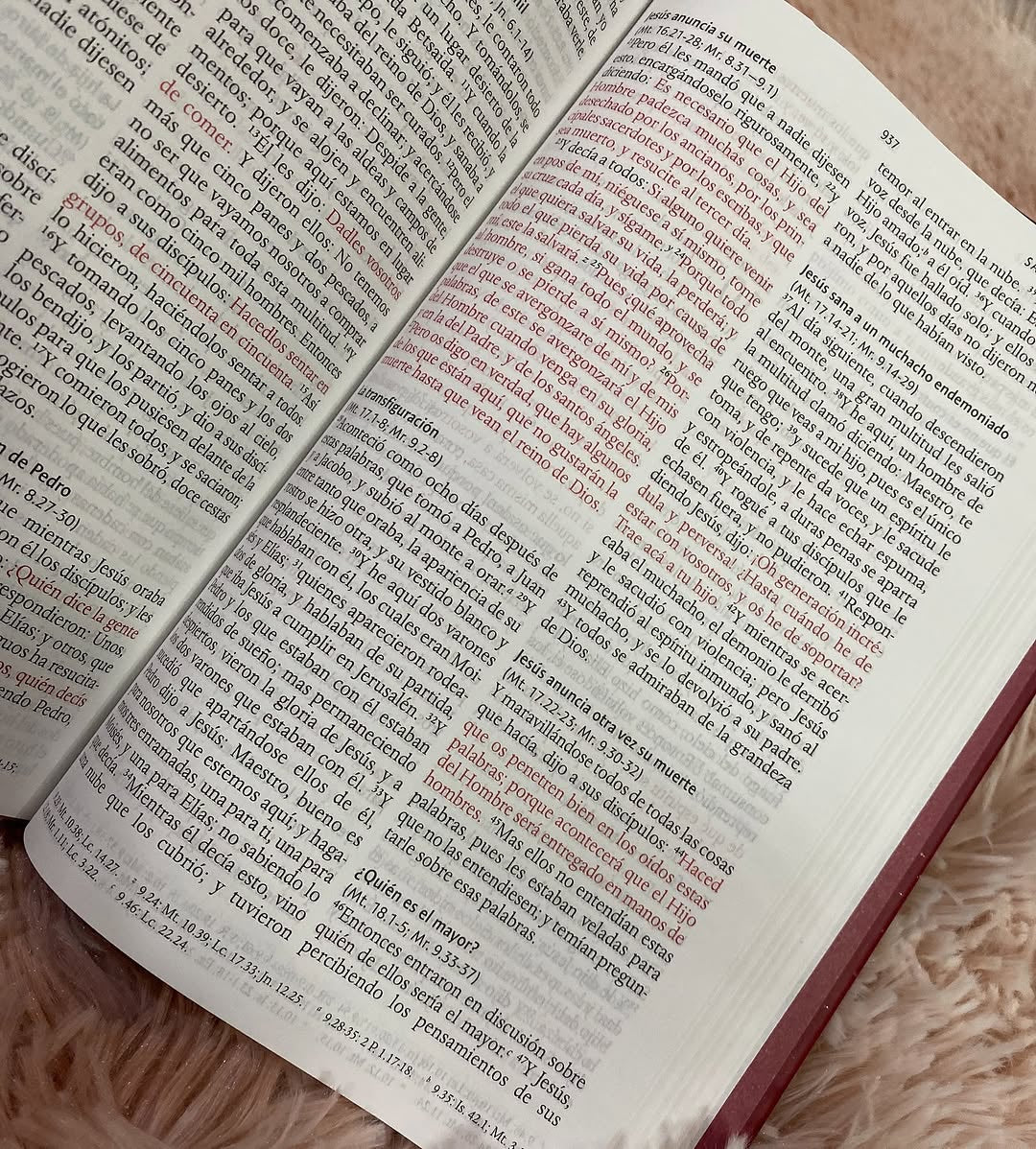 Biblia tapa dura de corazón letra grande 10 puntos versión RV1960 con concordancia