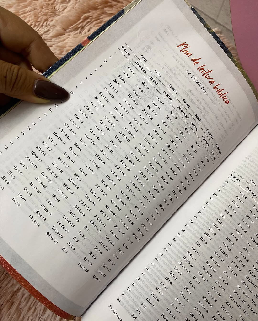 Biblia con devocional para mujeres centrada en cristo versión RV1960