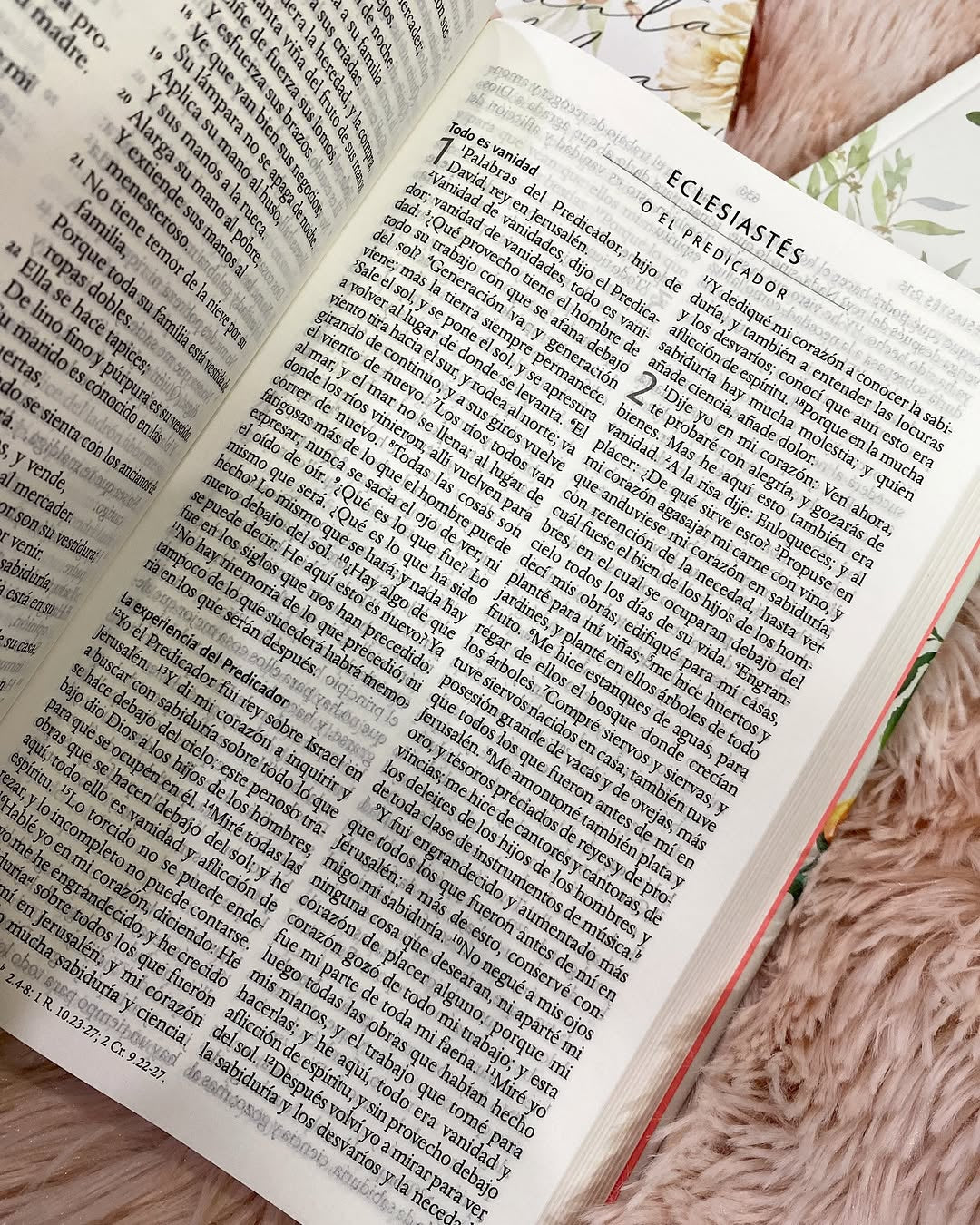 Biblia tapa dura floreada letra grande 10 puntos versión RV1960 con concordancia