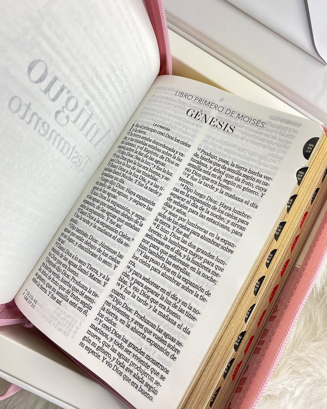 Biblia de quinceañeras en caja para regalos versión RV1960 con cierre índice e ilustrada