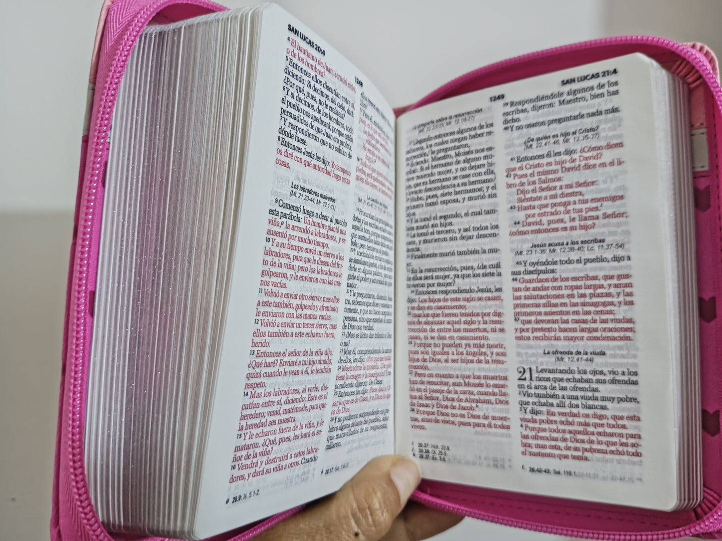 Biblia tamaño bolsillo letra 8 puntos con cierre símil piel versión RV60 con concordancia