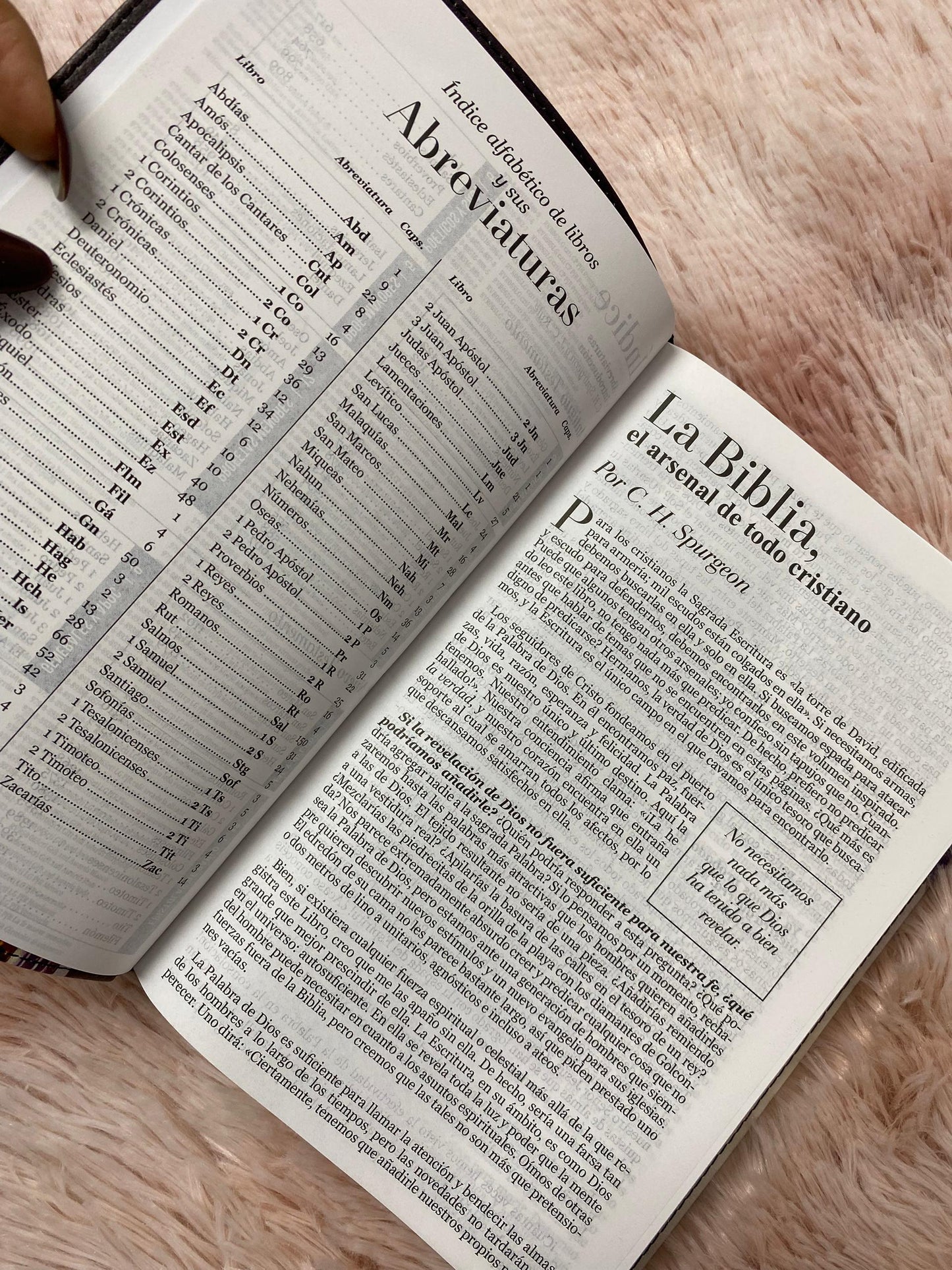 Biblia de espada letra grande 12 puntos tapa flexible versión RV1960 con concordancia