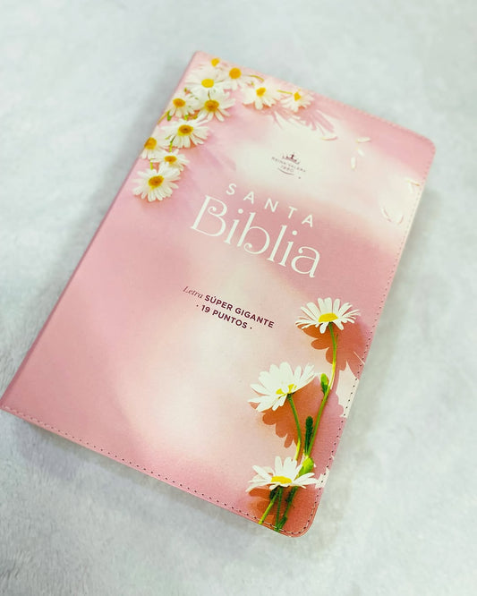 Biblia letra gigante 19 puntos versión RV1960 canto pintado con concordancia