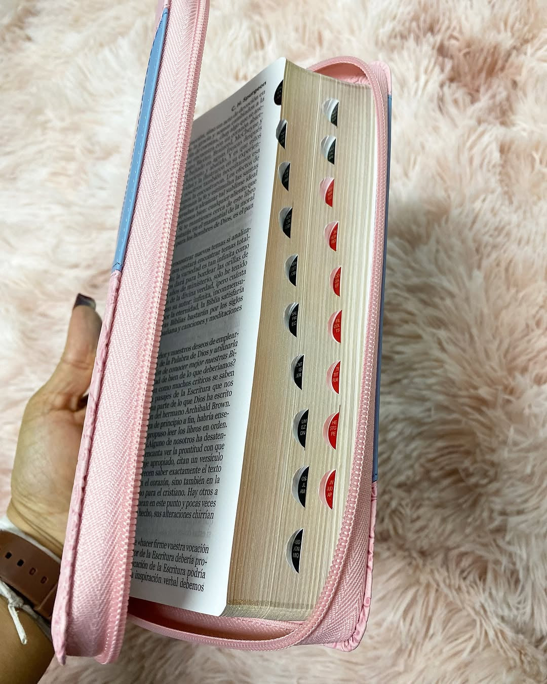 Biblia letra grande 12 puntos con cierre e índice versión RV60 con concordancia