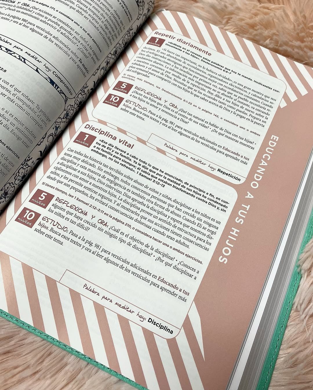 Biblia con devocional versión NVI símil piel canto plateado letra mediana