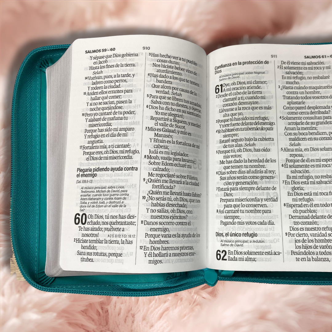 Biblia letra grande letra 12 puntos con canto plateado cierre y concordancia