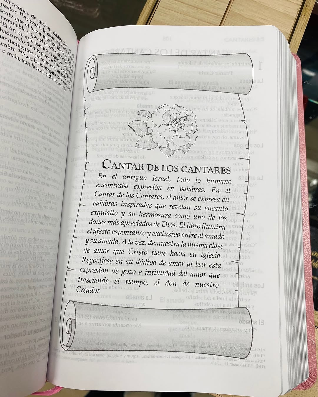 Biblia con devocional para la mujer en símil piel letra grande versión NVI