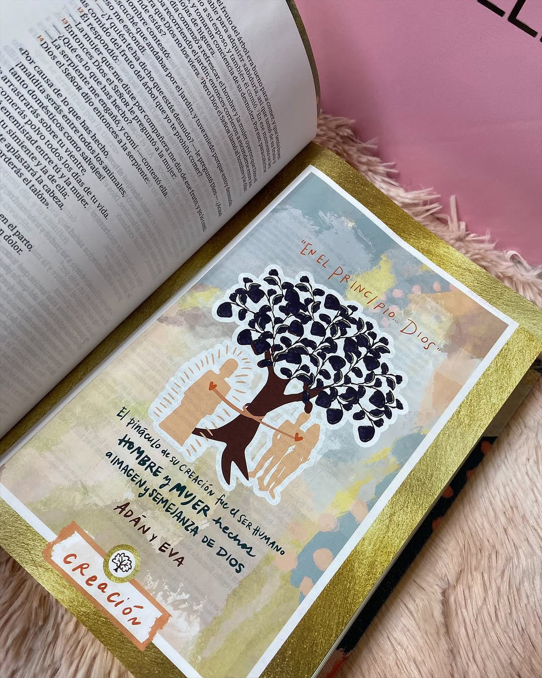Biblia con devocional para mujeres centrada en cristo versión NVI