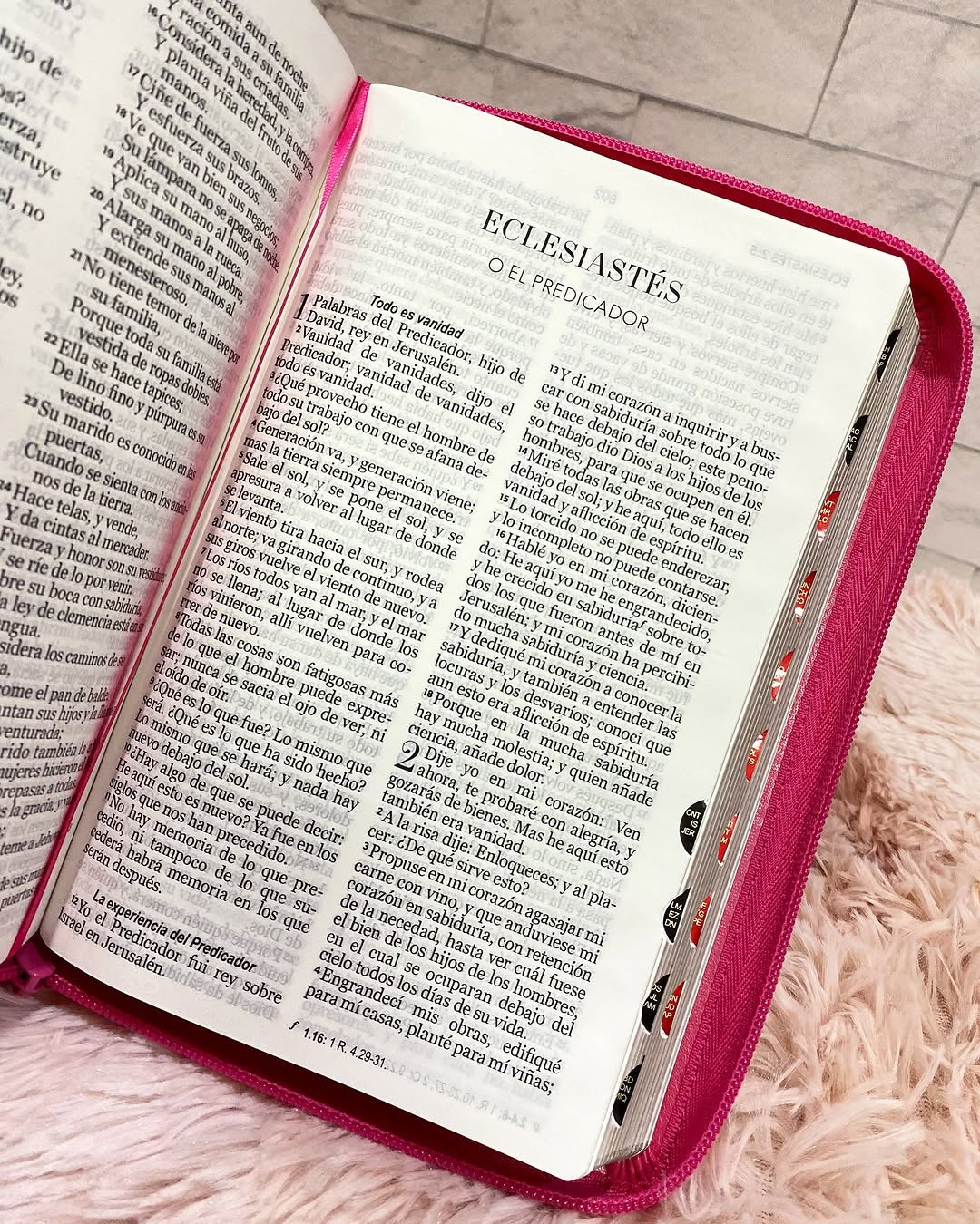 Biblia letra grande 12 puntos versión RV1960 con cierre índice canto dorado y concordancia
