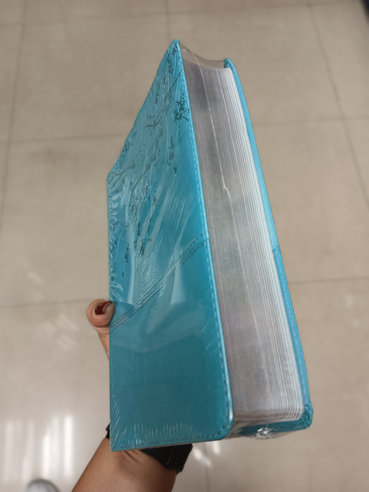 Biblia con devocional mujer conforme al corazón de Dios en símil piel canto plateado versión RV1960