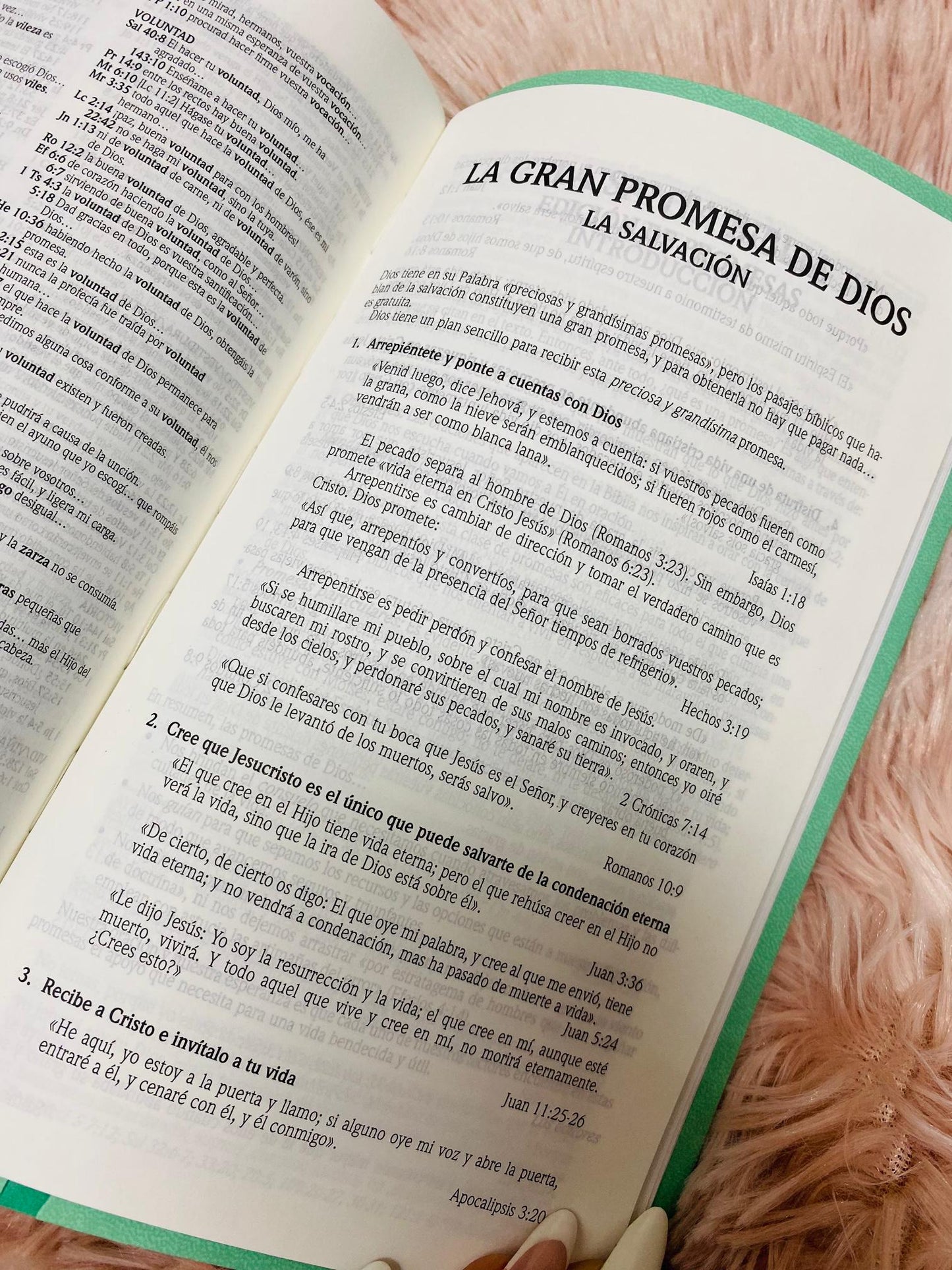 Biblia de promesas letra grande 12 puntos canto plateado versión RV1960