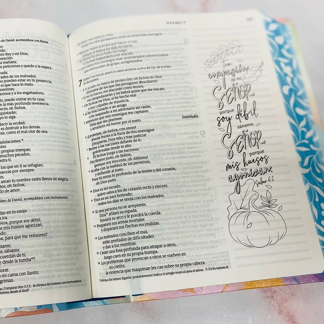 Biblia inspira artística de apuntes e ilustraciones versión NTV letra mediana