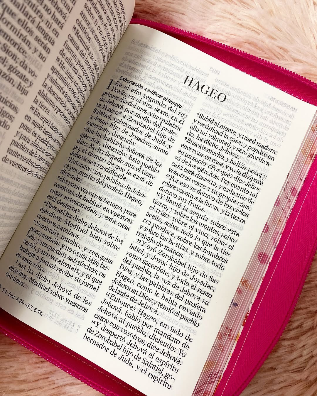 Biblia mediana letra grande 11 puntos versión RV1960 con cierre y canto floreado y concordancia