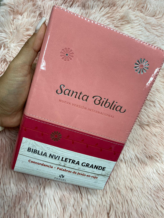 Biblia letra grande 11 puntos versión NVI canto plateado en símil piel con concordancia