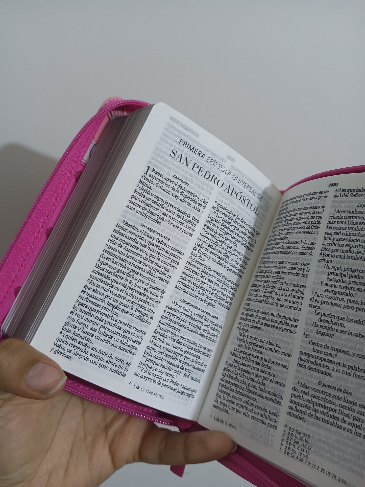 Biblia tamaño bolsillo letra 8 puntos con cierre símil piel versión RV60 con concordancia