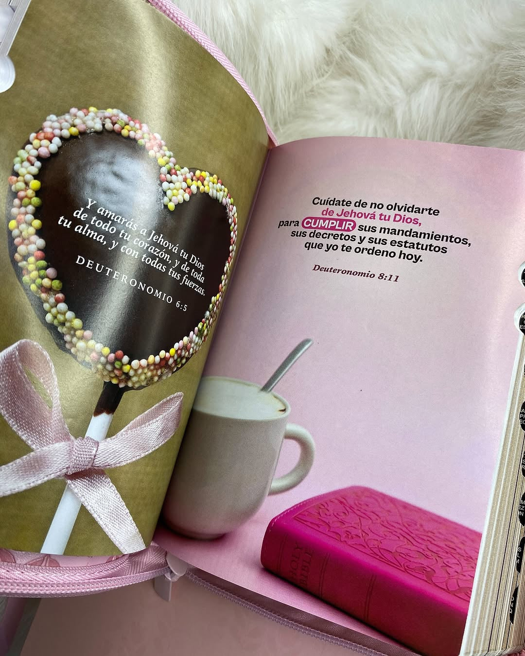 Biblia de quinceañeras en caja para regalos versión RV1960 con cierre índice e ilustrada