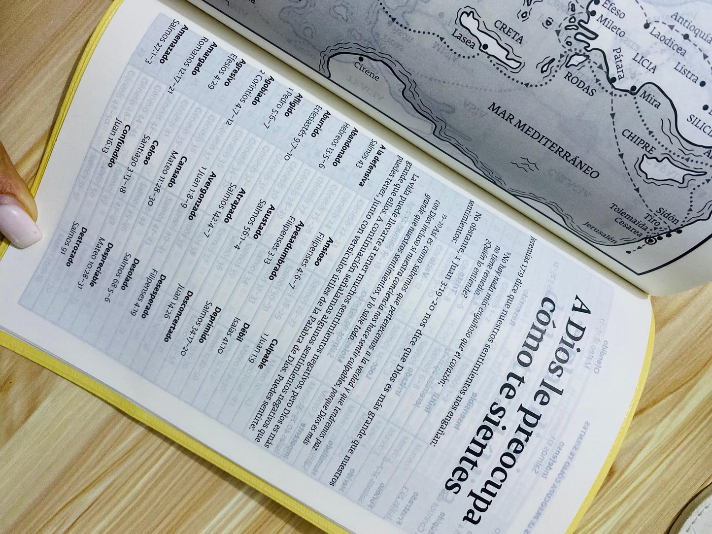 Biblia económica versión PDT: palabra de Díos para todos, letra mediana papel blanco