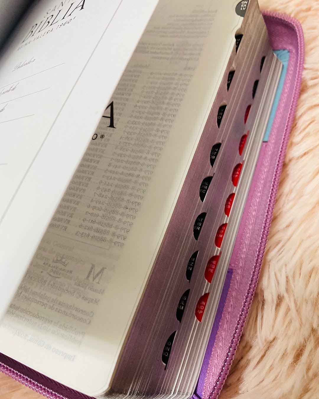 Biblia pequeña letra grande 11 puntos con cierre e índice versión RV60 con concordancia