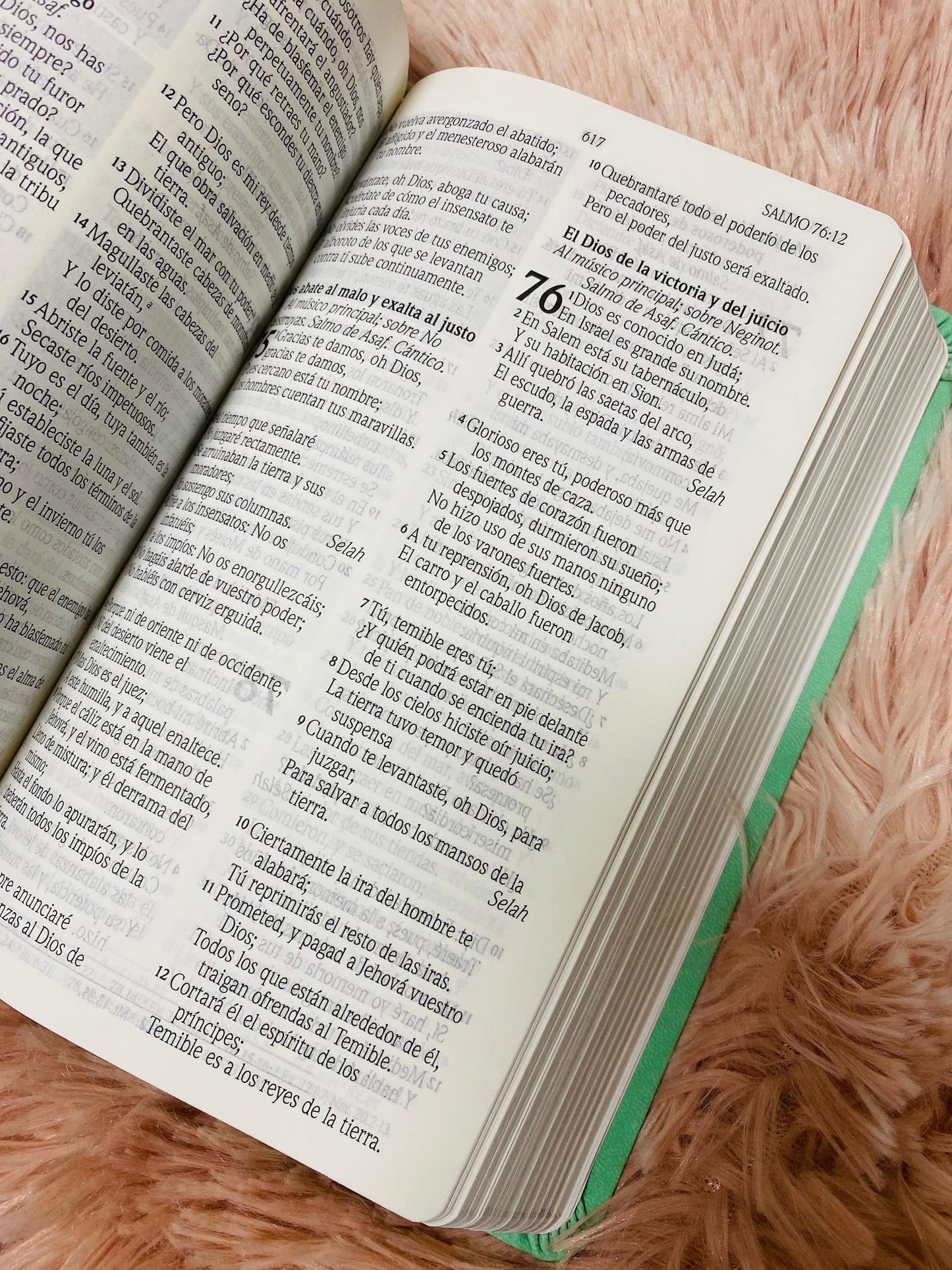 Biblia de promesas letra grande 12 puntos canto plateado versión RV1960