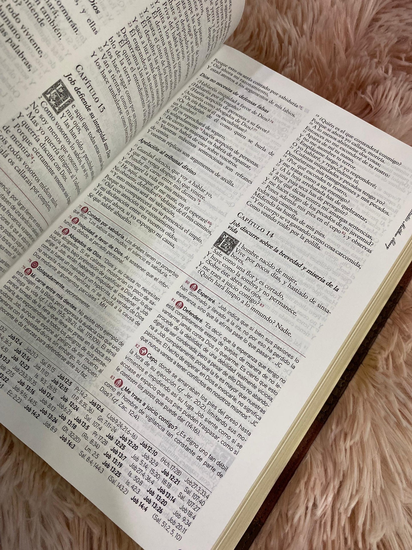 Biblia de espada letra grande 12 puntos tapa flexible versión RV1960 con concordancia