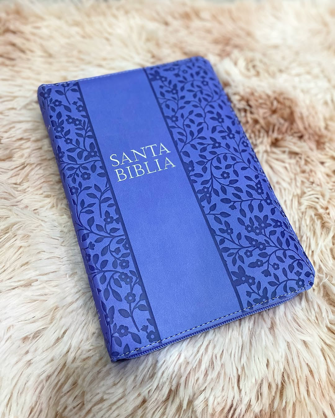 Biblia letra grande 12 puntos tamaño manual versión RV1960 con índice y cierre