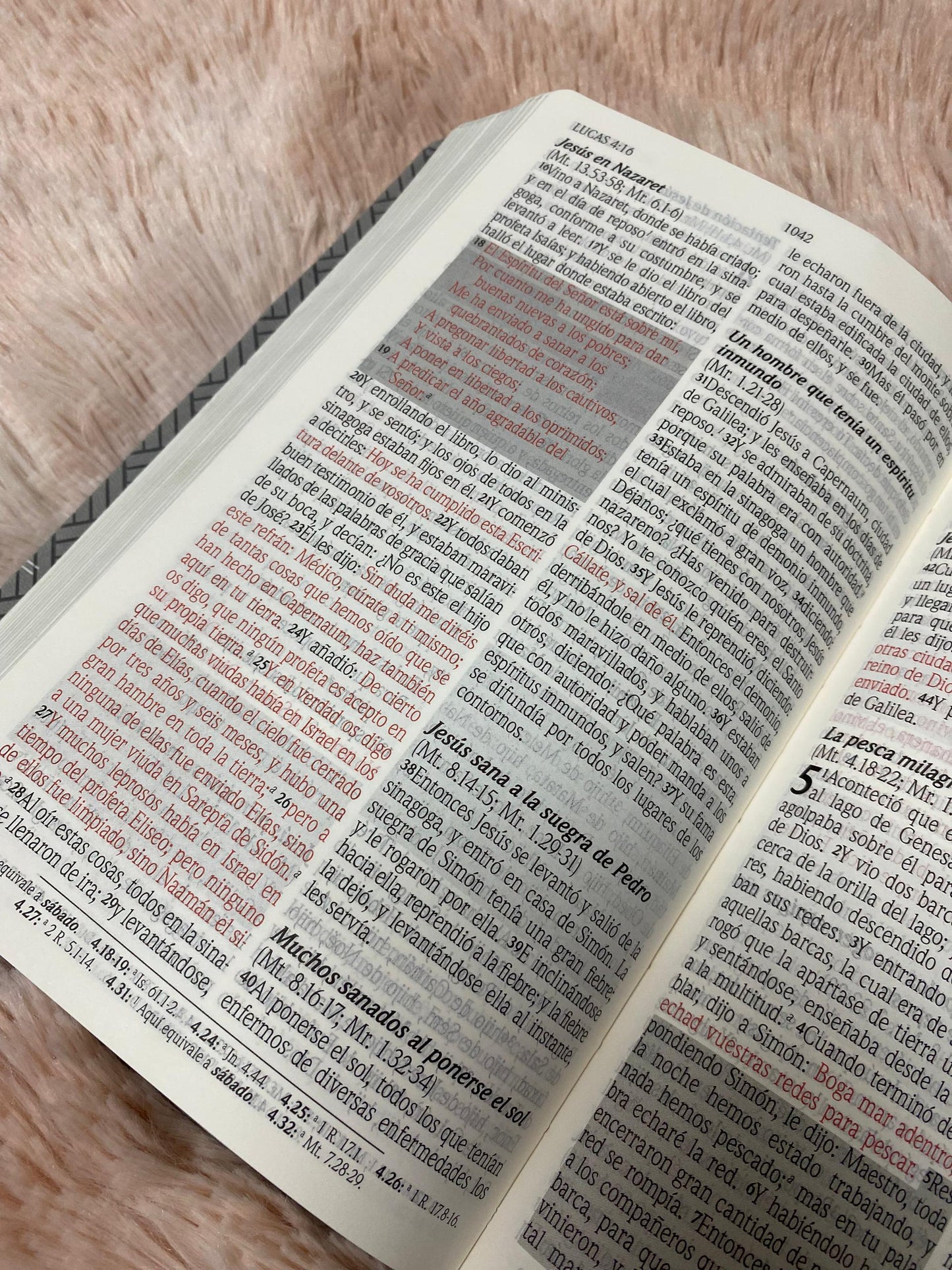 Biblia de promesas letra grande 12 puntos canto plateado versión RV1960