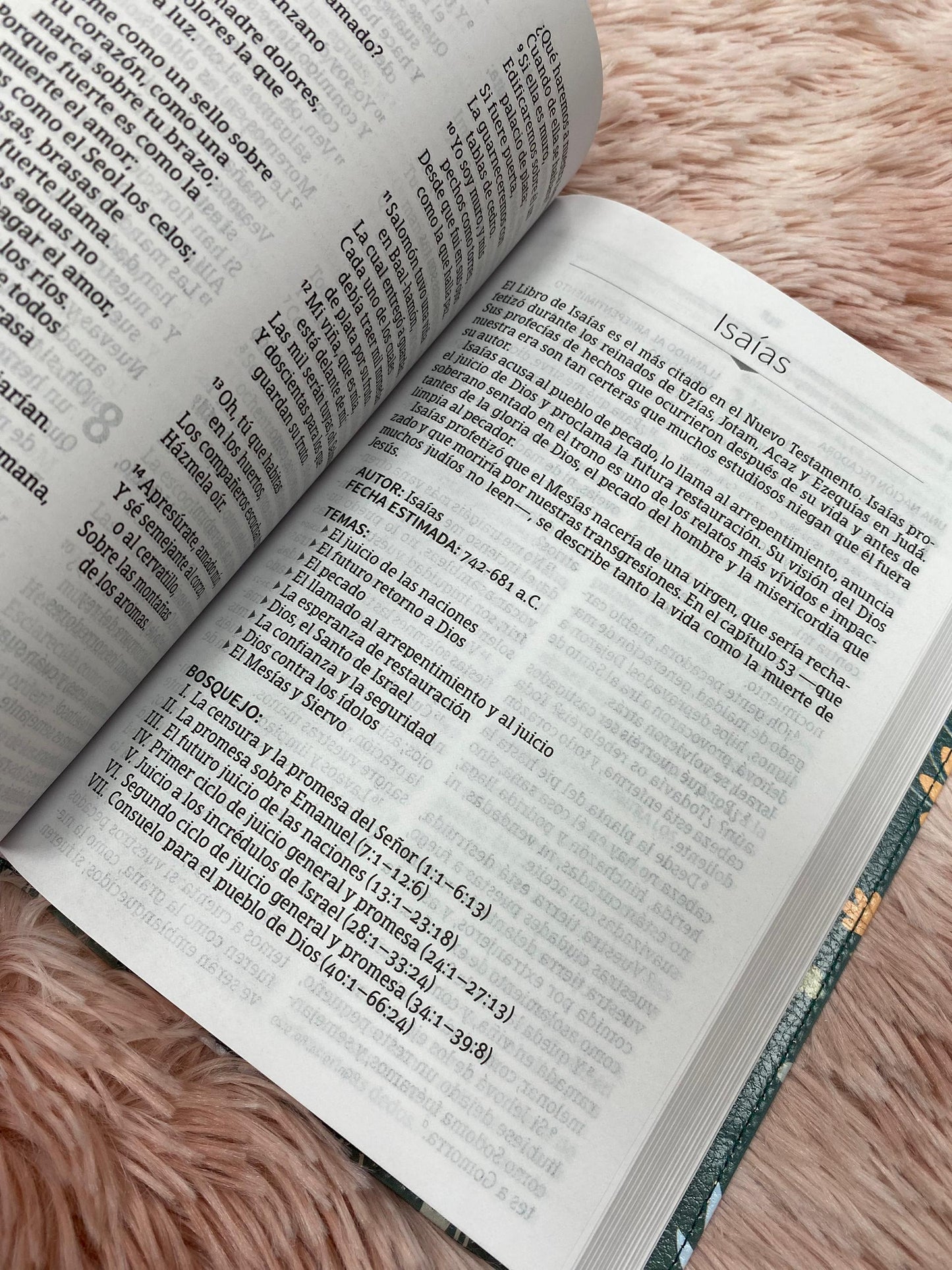 Biblia letra grande símil piel versión RV1960 con concordancia