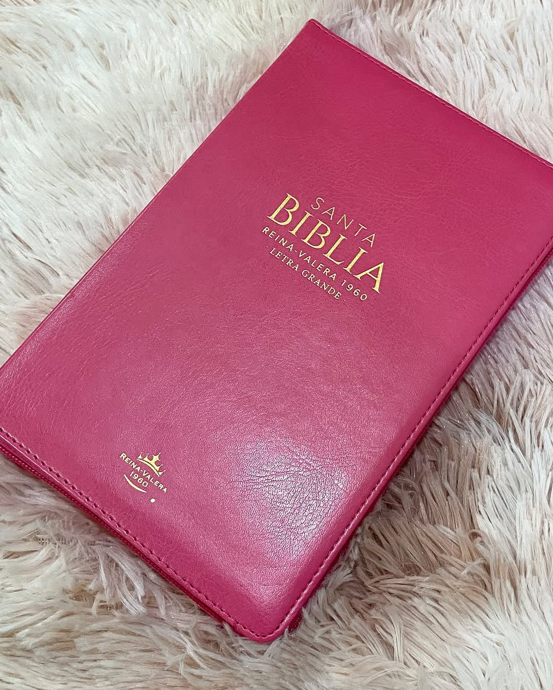 Biblia letra grande 12 puntos versión RV1960 con cierre índice canto dorado y concordancia