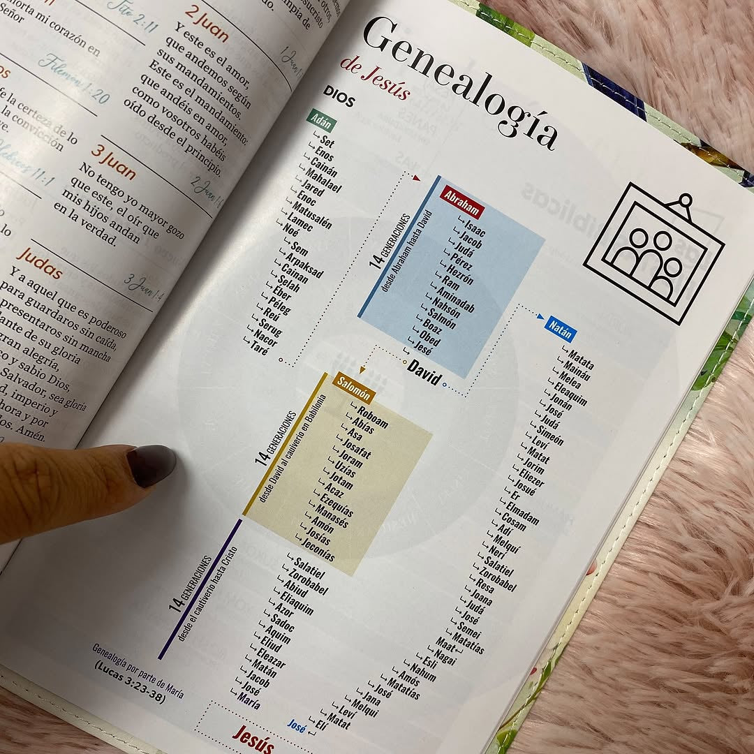 Biblia tamaño manual letra 12 puntos versión RV1960 con concordancia