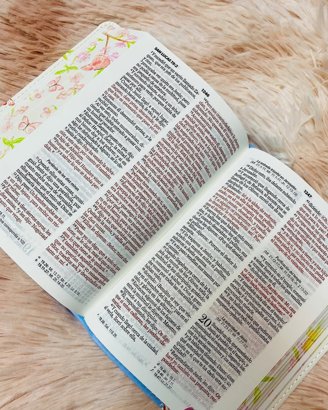 Biblia de bolsillo letra mediana 8 puntos canto floreado versión RV1960 palabras de Jesús en rojo con concordancia