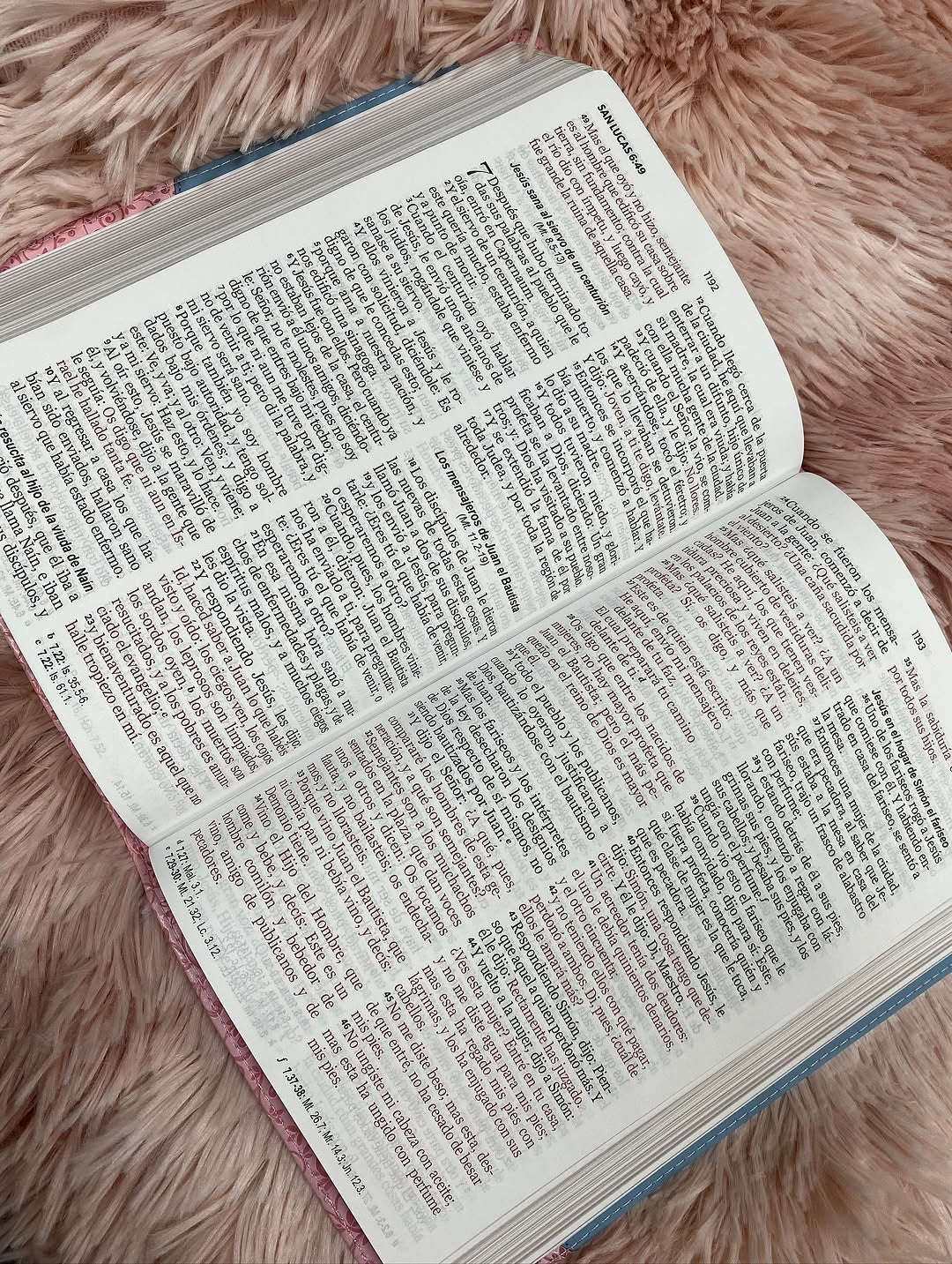 Biblia letra grande 12 puntos con canto dorado versión RV60 con concordancia