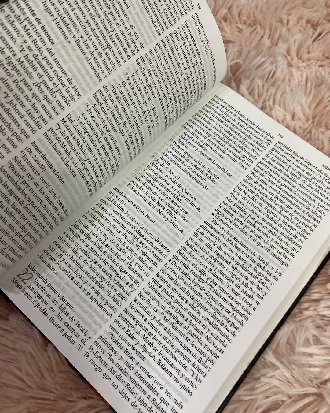 Biblia tapa dura león de Judá letra grande 10 puntos versión RV1960 con concordancia