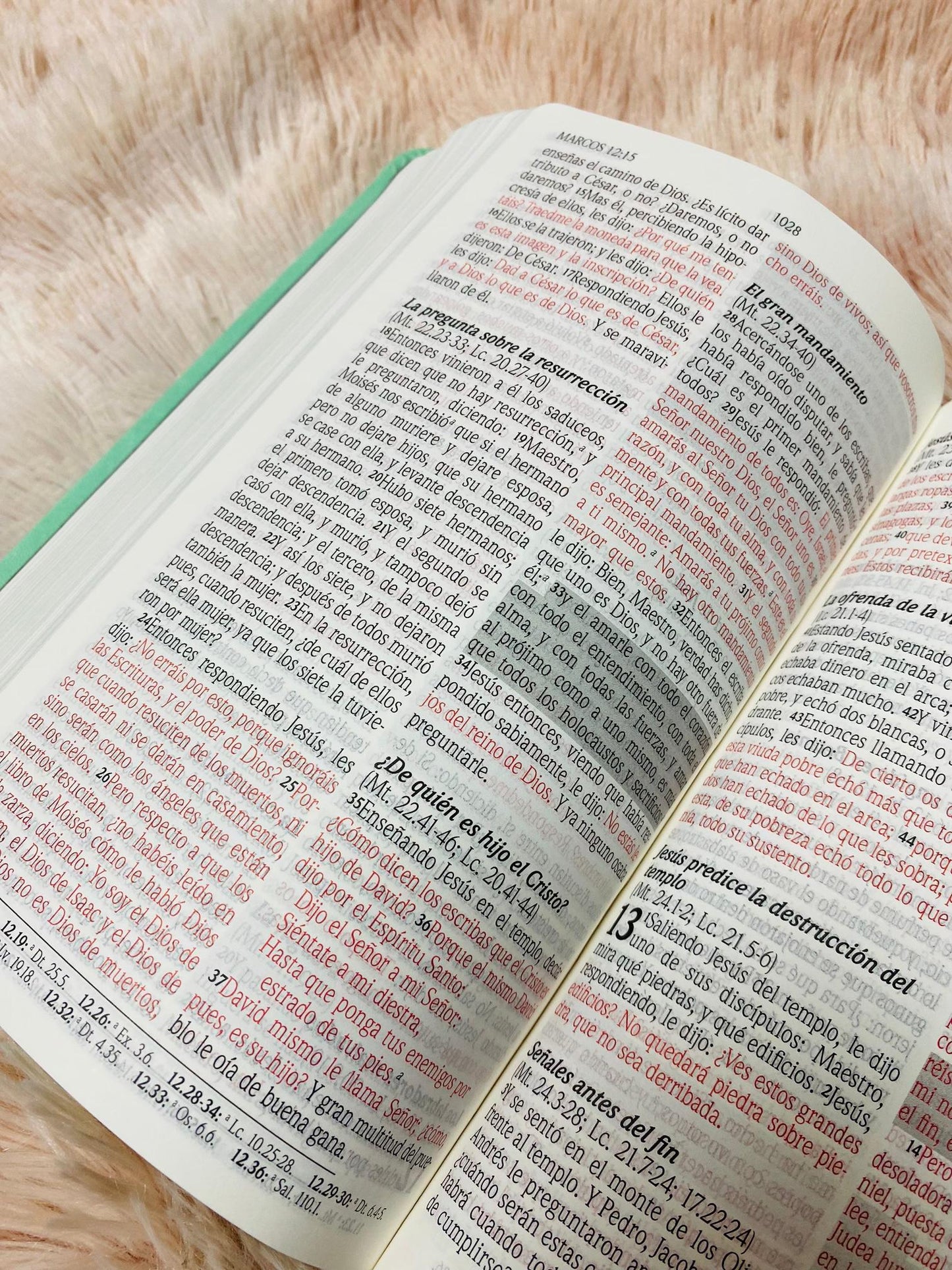Biblia de promesas letra grande 12 puntos canto plateado versión RV1960