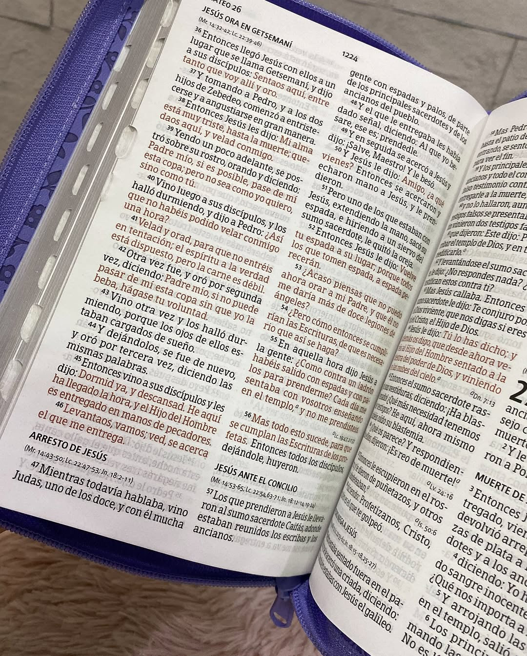 Biblia letra grande 12 puntos tamaño manual versión RV1960 con índice y cierre