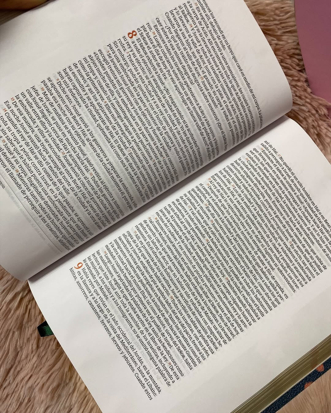 Biblia con devocional para mujeres centrada en cristo versión RV1960