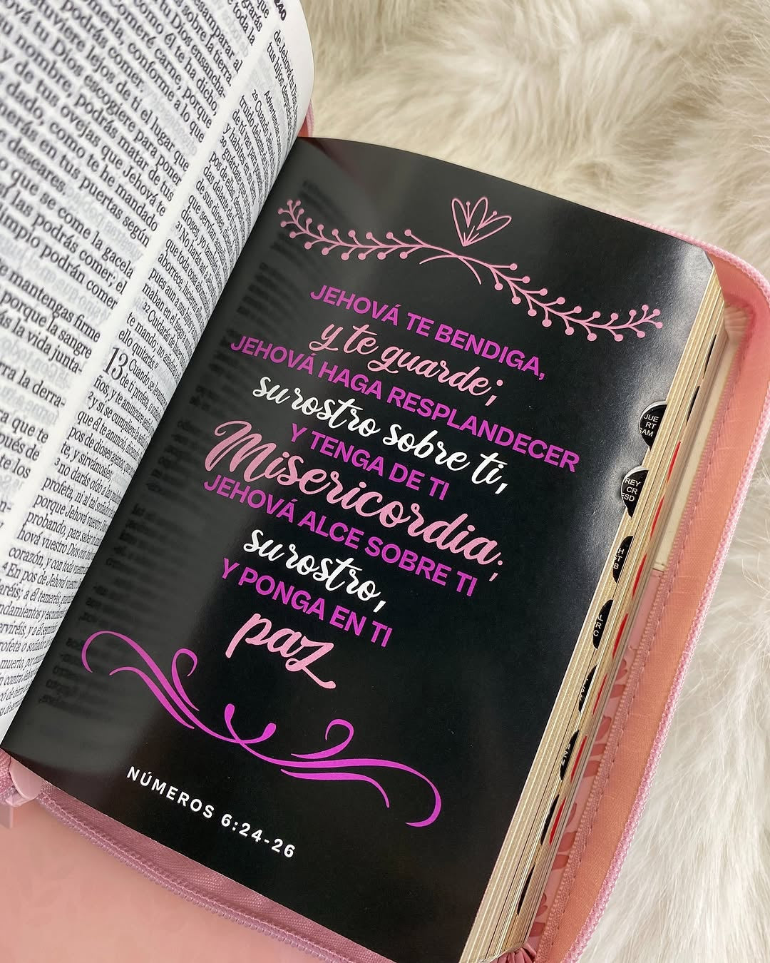 Biblia de quinceañeras en caja para regalos versión RV1960 con cierre índice e ilustrada