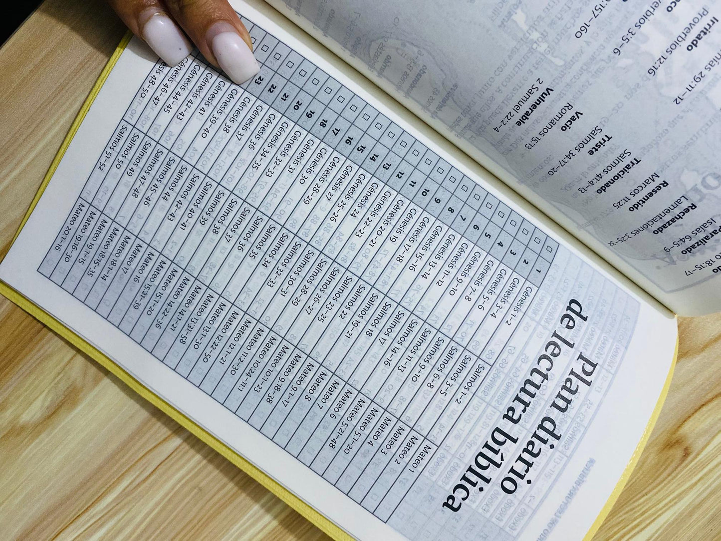 Biblia económica versión PDT: palabra de Díos para todos, letra mediana papel blanco