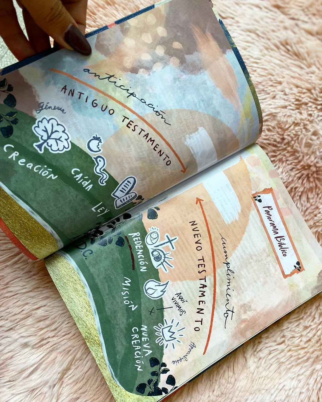 Biblia con devocional para mujeres centrada en cristo versión NVI