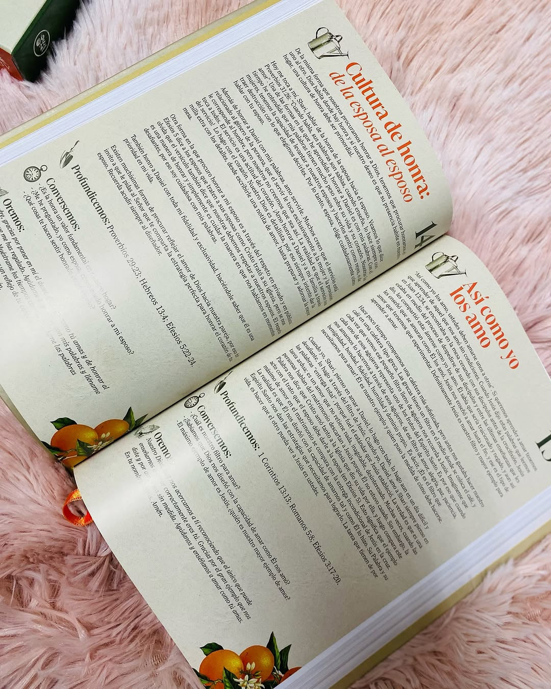 Biblia devocional matrimonial símil piel en letra mediana versión NBV