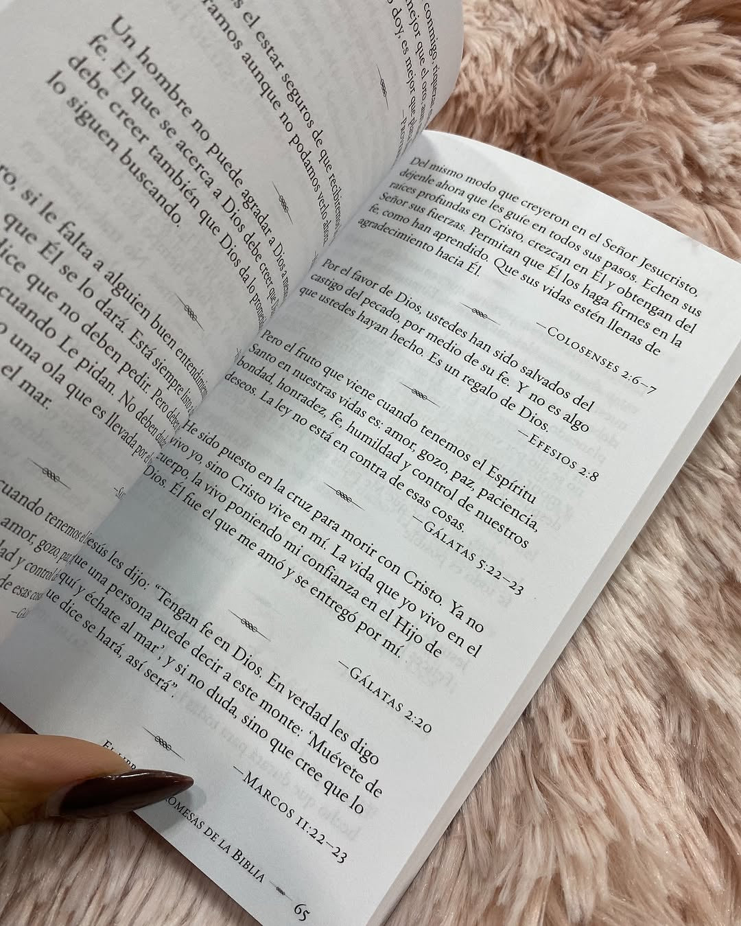 El libro de promesas de la biblia