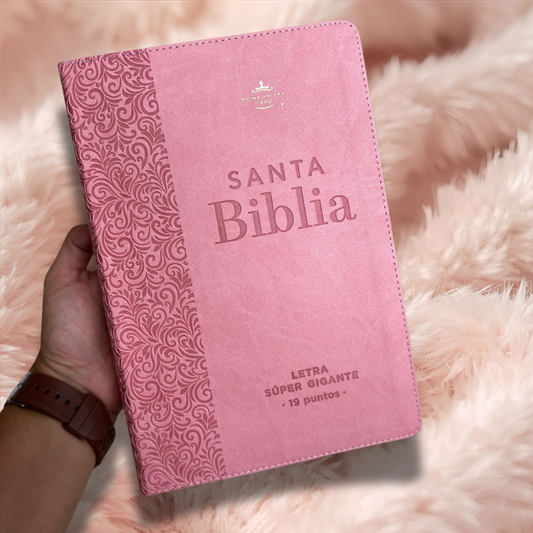 Biblia letra gigante 19 puntos en versión RV60 con canto dorado y concordancia