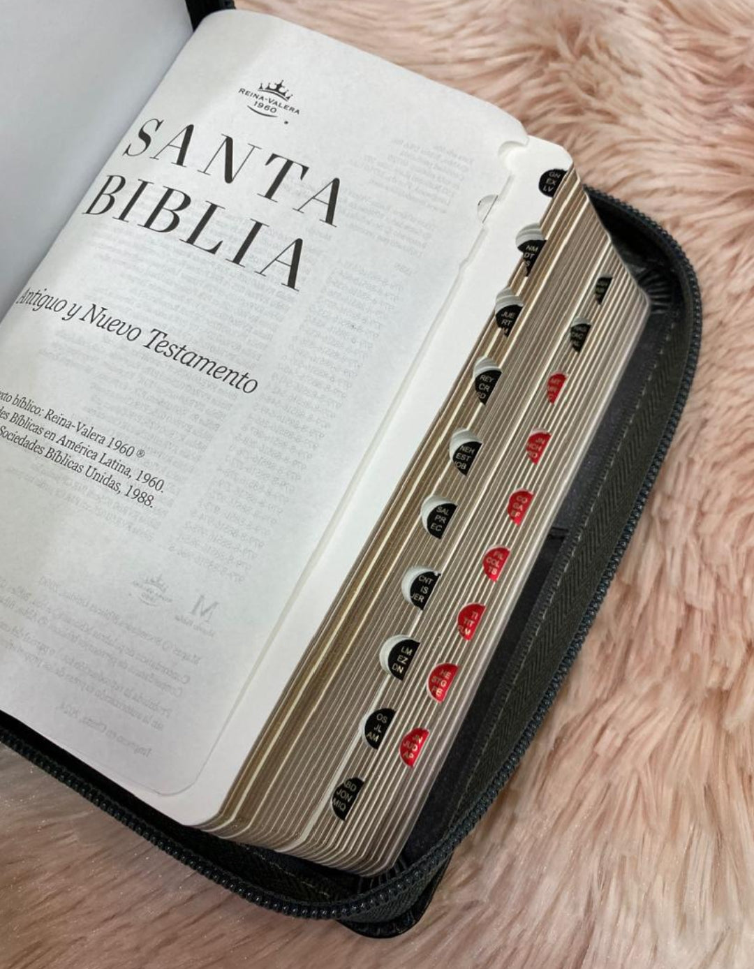 Biblia tamaño bolsillo con cierre e índice símil piel tamaño de letra mediana 8 puntos versión RV60