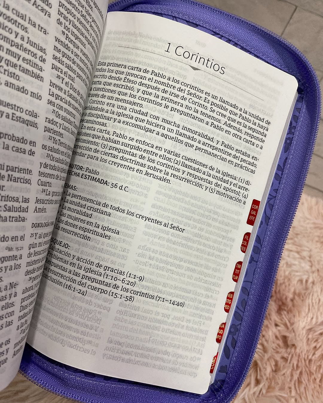 Biblia letra grande 12 puntos tamaño manual versión RV1960 con índice y cierre