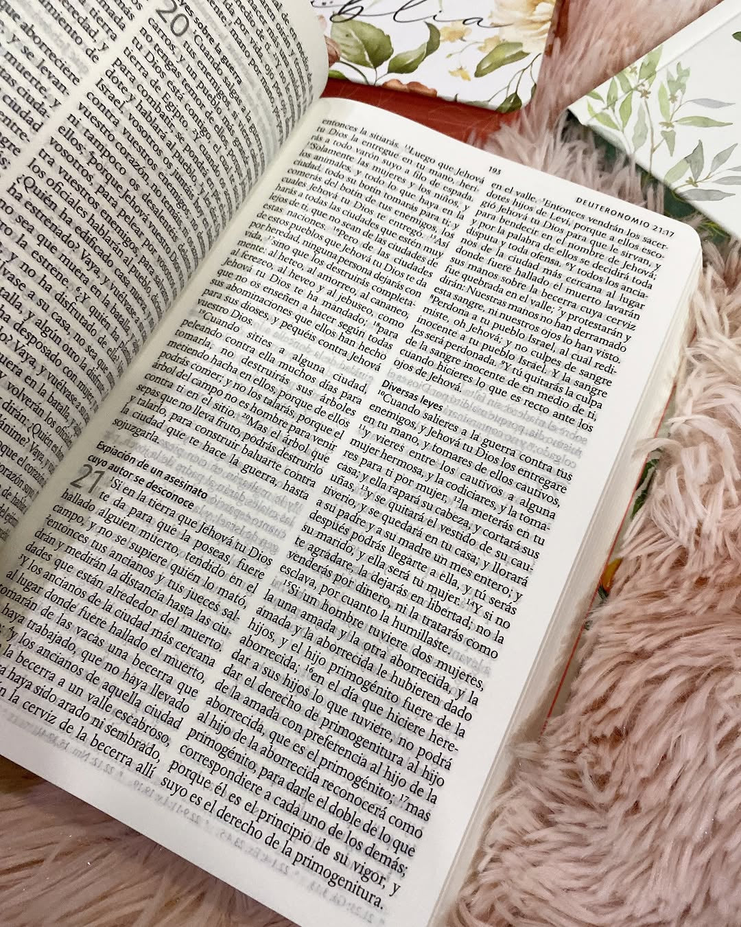 Biblia tapa dura floreada letra grande 10 puntos versión RV1960 con concordancia
